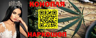трава Кизляр