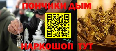 альфа пвп Камышлов