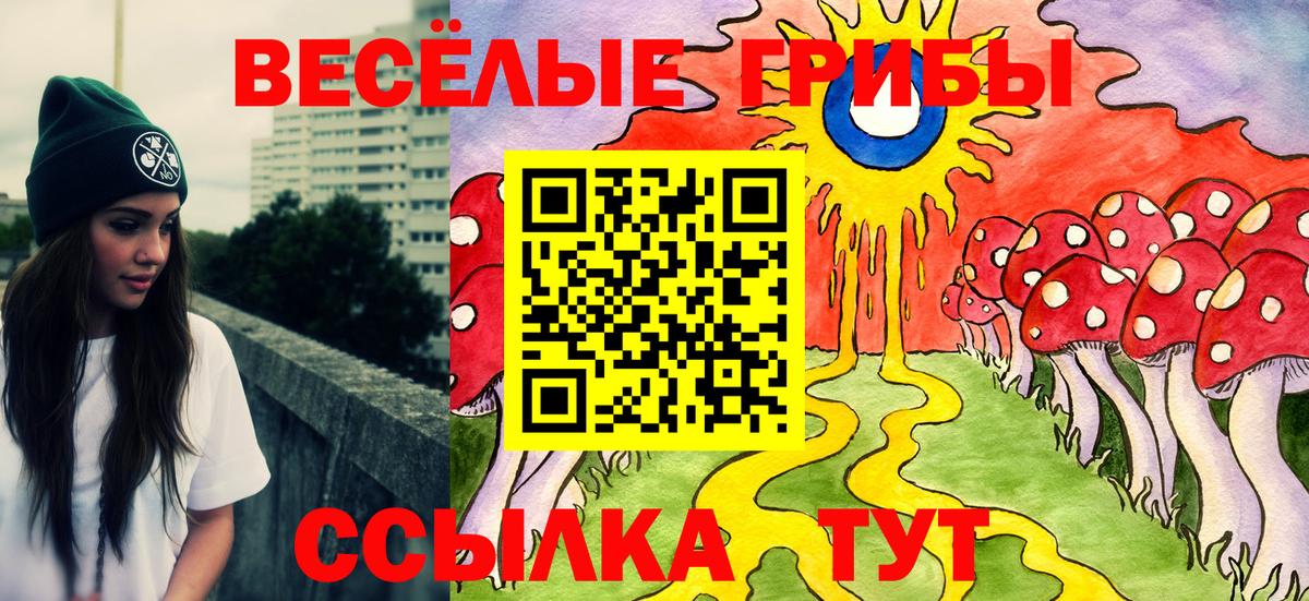 Псилоцибиновые грибы GOLDEN TEACHER  Галлюциногенные грибы Magic Shrooms  Вход с VPN  Ульяновск 