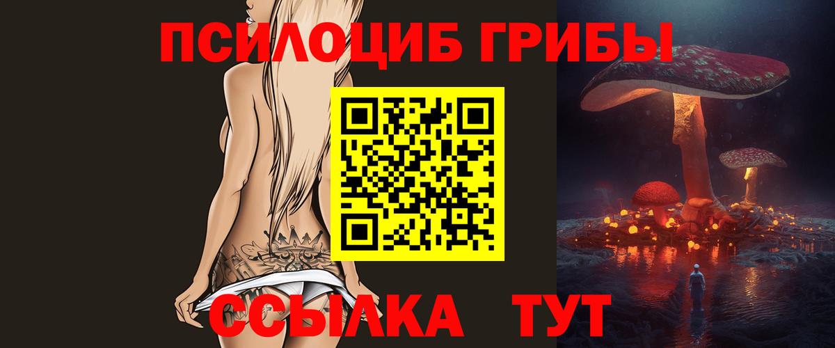 магазин продажи наркотиков  Псилоцибиновые грибы Psilocybine cubensis  Вход с VPN  Ульяновск 