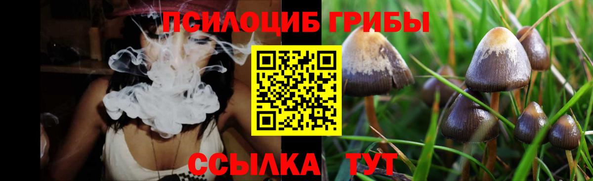 Галлюциногенные грибы Magic Shrooms Ульяновск